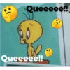 Piolin 2.0 8