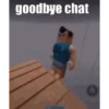 Good bye chat 👋🏻 11