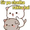 Sir pe chadha rakha hai