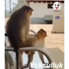 Yoksulluk