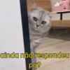 Dramáticas  7