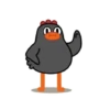 Crazy chicken 12
