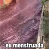 Drama Total 13