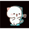 Kucing gemoy 5