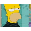 Homer Simpson 8