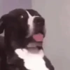 GIFs Quê? 2 🤨 11