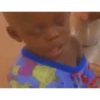 Monkey 17