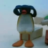 Pinguzinho 🐧🐧 8