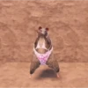 Tiktok dancing 9