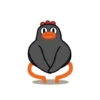 Crazy chicken 8
