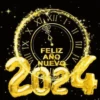 🍾🪅 Feliz año 2024🎉🥳 11