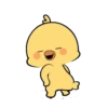 Chika si Ayam Cute 🐥 8