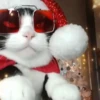 Navidad 🎄Random 7