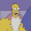 OS SIMPSONS 15