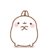 Molang 11