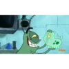 Plankton 13