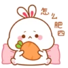 Rabbit🐰 19