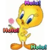 Piolin 2.0 17