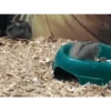 🐹✨️REACCIONES HAMSTER FUNNY✨️🐹 6