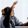 Reações de macaquinhos 🤣 9
