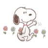 Snoopy  13
