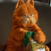 Garfield oyen 😼 8
