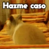 Moods Animalitos 8