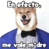 Moods Animalitos 13