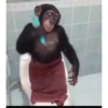 Monkey 23