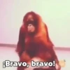 Monos y changuitos 5 🦧🦍🐒 16