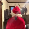 Natal engraçado 13