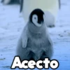 Moods Animalitos 9