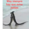 Iguana - Animales Bailando 🦎😎 9