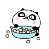 Cute Panda 🐾✨🐼 10