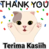 Cute cat 13