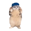 Animales Tiktoks 🤣 5