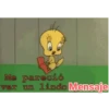 Piolin 2.0 20