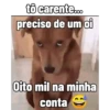 Tô carente  18