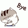 Stiker GIF Kucing Lucu 7