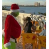 Grinch brasileiro  5