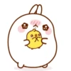 Molang 8