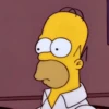 Homer 🤣 10
