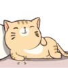 Stiker GIF Kucing Lucu 16