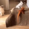 Escapes y peleas épicas 🐱🐶 15