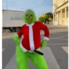 Grinch brasileiro  27