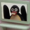 REAJA COM O PINGU 🐧 16