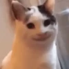Smile mix 20