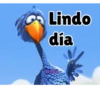 Axy Linda 2026-6 15