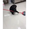 Monkey 6