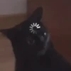 GIFs Quê? 2 🤨 8